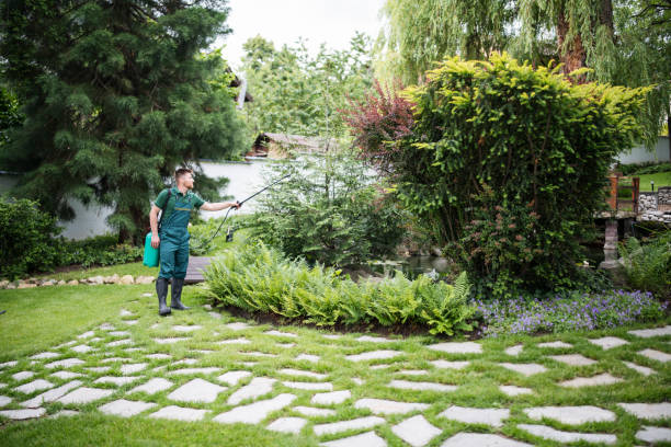 Trusted Orfordville, WI Pest Control Experts