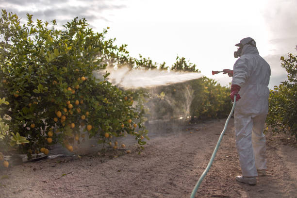 Best Local Pest Control Services  in Orfordville, WI